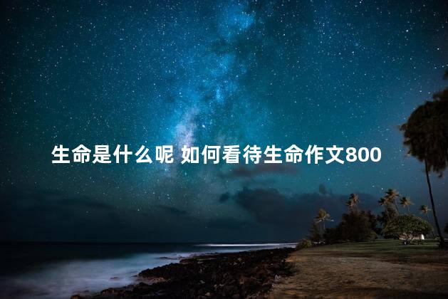 生命是什么呢 如何看待生命作文800字